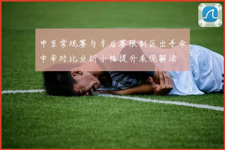 申京常规赛与季后赛限制区出手命中率对比分析小幅提升表现解读